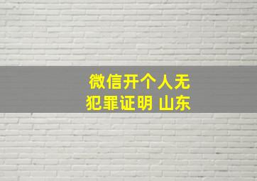 微信开个人无犯罪证明 山东